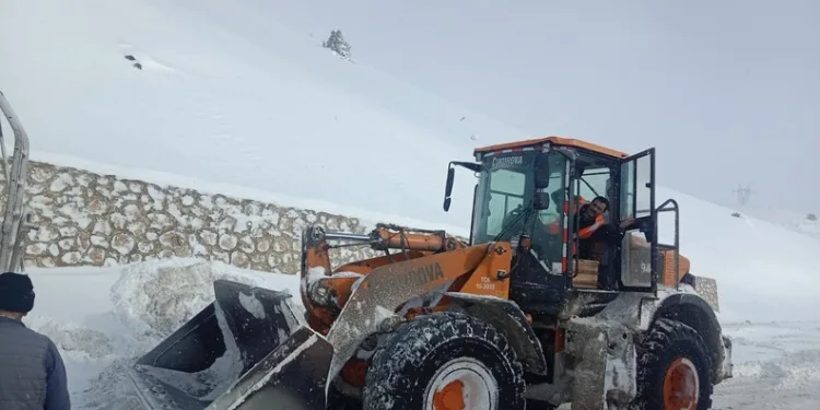 Rize’de itfaiyeden “50 kuruşluk” operasyon