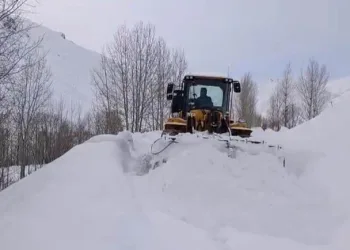Şanlıurfa’da uyuşturucu operasyonu: 9 gözaltı