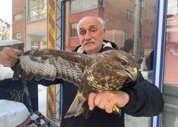 Mardin’de seyir halindeki otomobil alev aldı