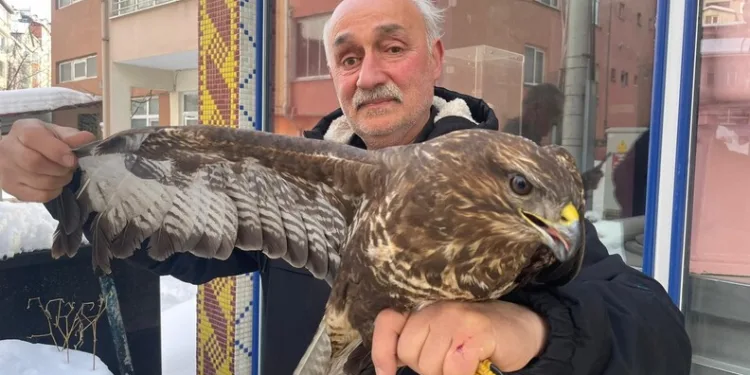 Mardin’de seyir halindeki otomobil alev aldı