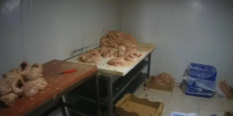 Arkadaşlarıyla alkol aldıktan rahatsızlandı, evinde hayatını kaybetti