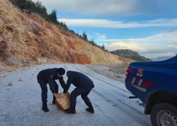 Harmankaya Tabiat Kanyonu’nun yolunu düşen kaya parçası jandarma tarafından kaldırıldı