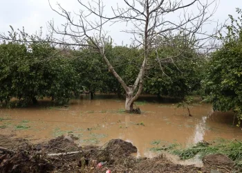 Harmankaya Tabiat Kanyonu’nun yolunu düşen kaya parçası jandarma tarafından kaldırıldı