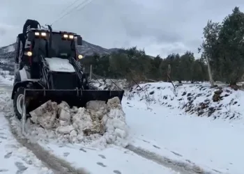 Harmankaya Tabiat Kanyonu’nun yolunu düşen kaya parçası jandarma tarafından kaldırıldı