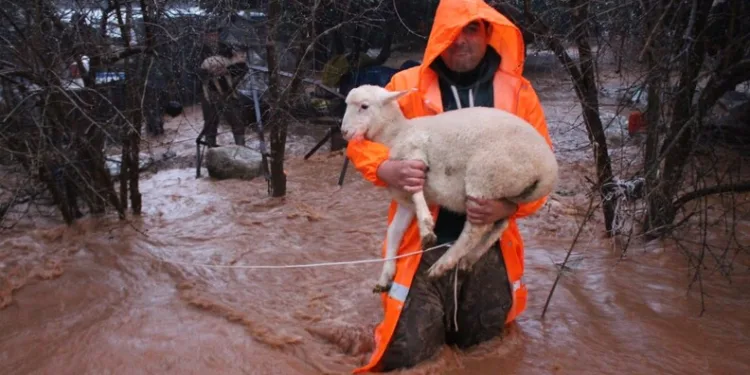 Harmankaya Tabiat Kanyonu’nun yolunu düşen kaya parçası jandarma tarafından kaldırıldı
