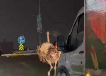 Isparta’da 1 haftalık narkotik operasyonlarında 7 şüpheli tutuklandı