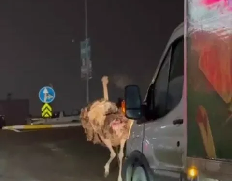 Isparta’da 1 haftalık narkotik operasyonlarında 7 şüpheli tutuklandı