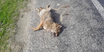 Isparta’da 1 haftalık narkotik operasyonlarında 7 şüpheli tutuklandı