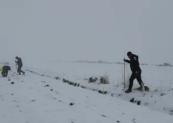 Isparta’da 1 haftalık narkotik operasyonlarında 7 şüpheli tutuklandı