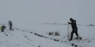 Isparta’da 1 haftalık narkotik operasyonlarında 7 şüpheli tutuklandı