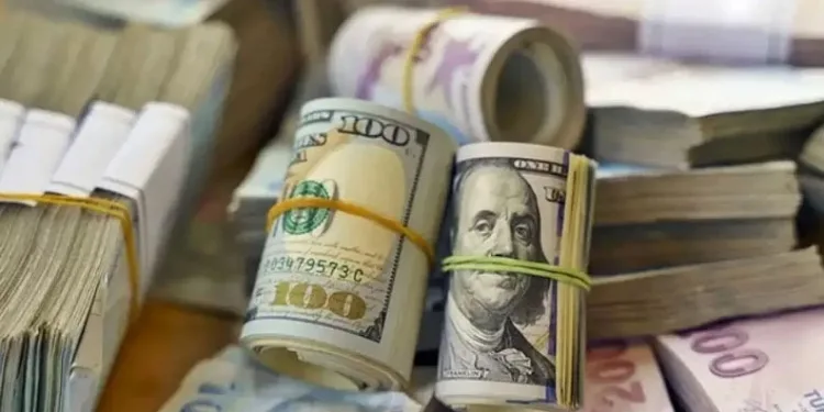 Tarım-GFE yıllık yüzde 34,24 arttı