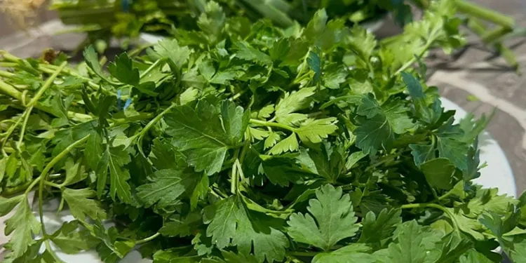 C vitaminini yanlış besinde aramayın