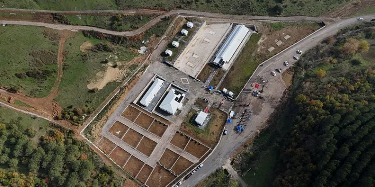 Orhangazi Belediyesi’nden Sokak Hayvanları İçin Örnek Başarı