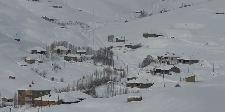 Hakkari’de 229 yerleşim yerinin yolu kapandı