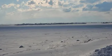 ‘Kuş cenneti’ Arin Gölü tamamen dondu