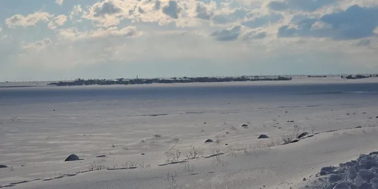‘Kuş cenneti’ Arin Gölü tamamen dondu