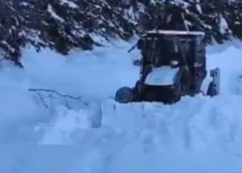 Artvin’de kar nedeniyle 130 köy yolunda ulaşım sağlanamıyor