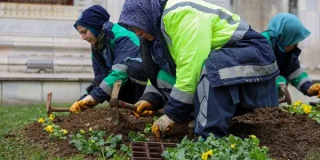 Bursa kışın da çiçek bahçesine dönüşüyor