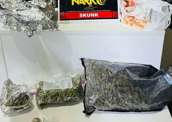 Uyuşturucu operasyonunda 2 tutuklama