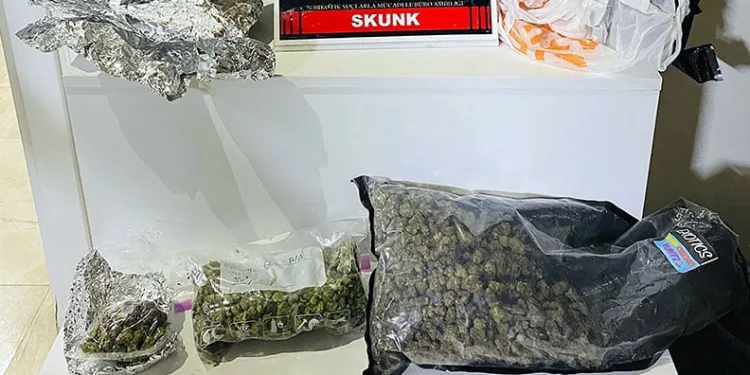 Uyuşturucu operasyonunda 2 tutuklama