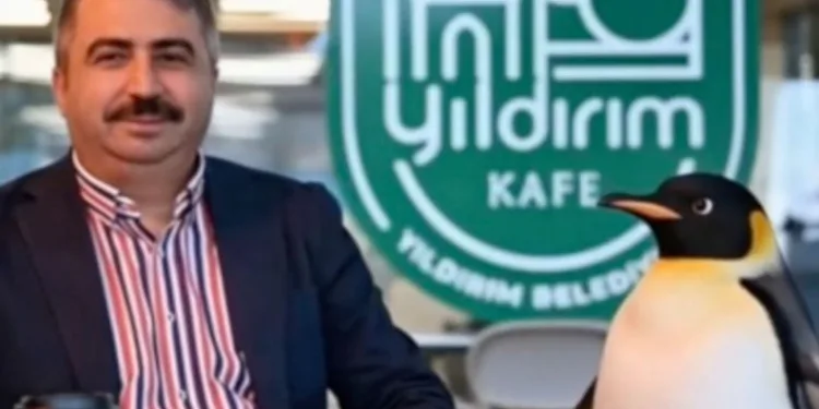 Penguen sürüden ayrılırken belediyeler boş durmadı