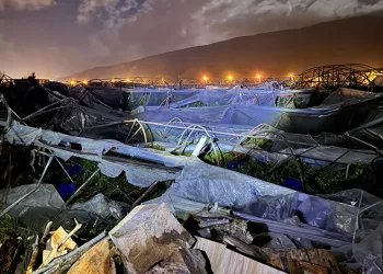 Antalya’da hortum seraları yıktı geçti