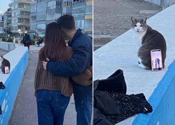 Bursa’da ilginç fotoğraf çözümü: Tripod yerine kedi kullandılar