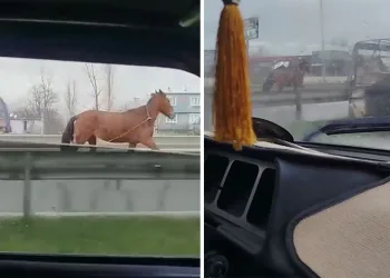 Bursa’da kan donduran cinayet: 280 saat kamera izleyip cinayeti çözdüler