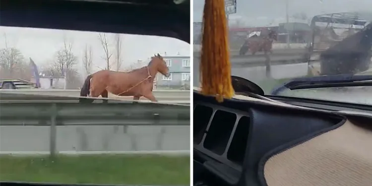 Bursa’da kan donduran cinayet: 280 saat kamera izleyip cinayeti çözdüler