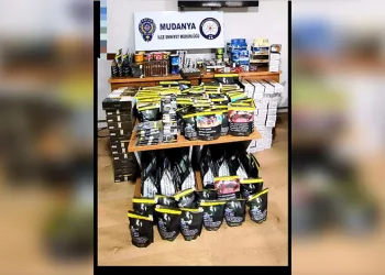 Bursa’da binlerce dekar ekili alan sular altında