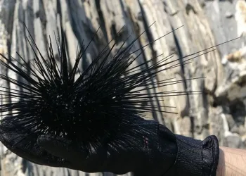 Bursa’da AK Parti Teşkilatı vefa iftarında buluştu