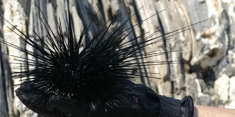 Bursa’da AK Parti Teşkilatı vefa iftarında buluştu