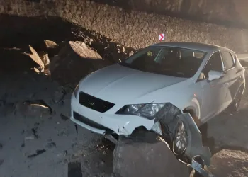 Hatay’da havalandırma boşluğuna düşen köpek kurtarıldı