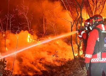 Meksika’da kartel liderinin öldürüldüğü eyalete 2 bin 500 asker daha konuşlandırıldı