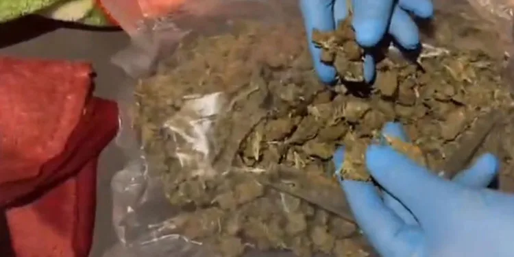 Hatay’da tırın yatak kısmından 5 kilo uyuşturucu çıktı