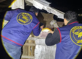 Osmaniye’de Süleyman mührü ve Tevrat içeren tarihi yazıt bulundu