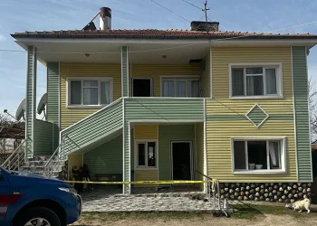 Diyarbakır’da feci kaza: Kamyonete çarptı, hayatını kaybetti