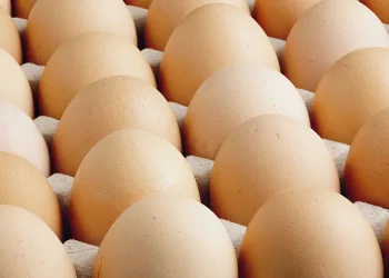 İlkokulda veliler kitap okuma yarışmasında ter döktü