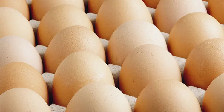 İlkokulda veliler kitap okuma yarışmasında ter döktü