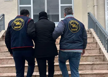 Hatay’da havalandırma boşluğuna düşen köpek kurtarıldı