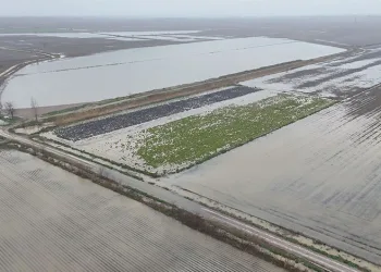 Hatay’da havalandırma boşluğuna düşen köpek kurtarıldı