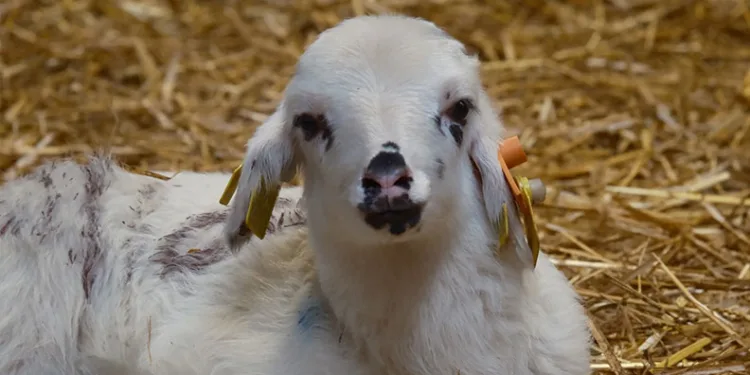 Davut Gürkan: “28 Şubat darbesini unutmuyor, unutturmuyoruz”