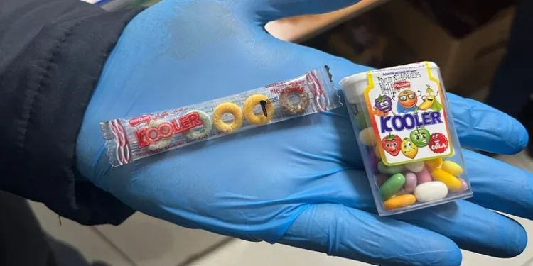 Zonguldak’ta rüşvetle araç muayenesi operasyonunda 11 şüpheli adliyede