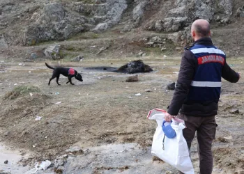Jandarmanın iz takip köpeği “Salkım” kayıp şahıs için sahada