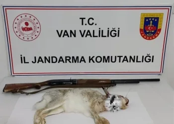 Jandarmanın iz takip köpeği “Salkım” kayıp şahıs için sahada