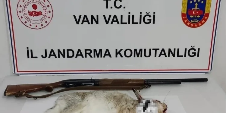 Jandarmanın iz takip köpeği “Salkım” kayıp şahıs için sahada