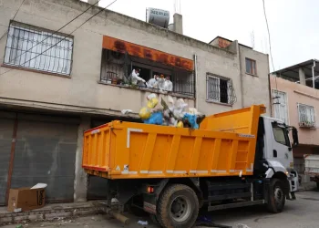 Jandarmanın iz takip köpeği “Salkım” kayıp şahıs için sahada