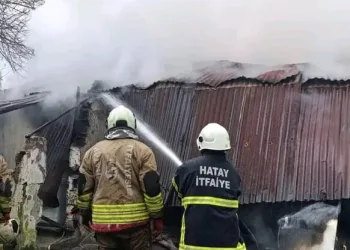 Jandarmanın iz takip köpeği “Salkım” kayıp şahıs için sahada