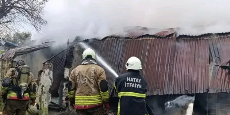 Jandarmanın iz takip köpeği “Salkım” kayıp şahıs için sahada