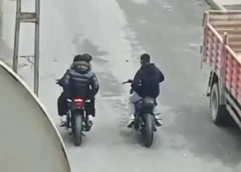 Jandarmanın iz takip köpeği “Salkım” kayıp şahıs için sahada